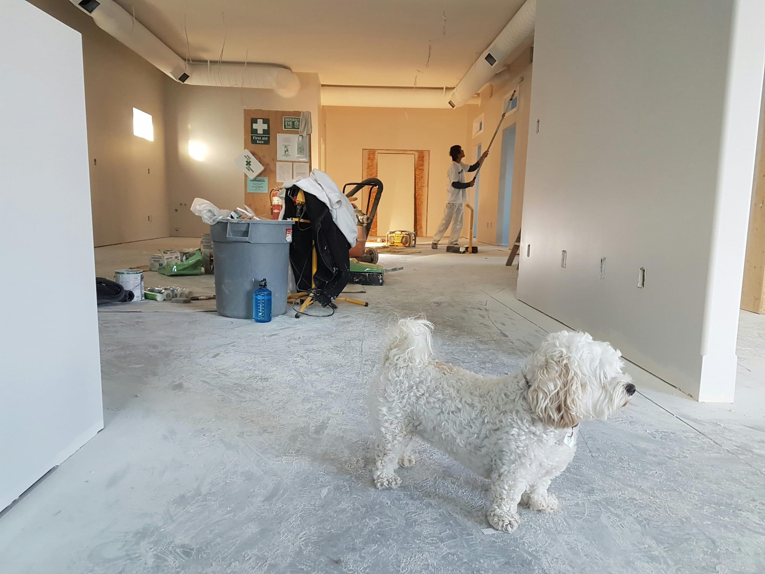 Household Repairs After Extreme Weather And Personal Loan Budget Planning